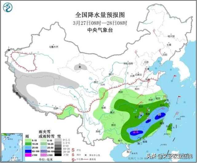 寒潮来了，最高降温12℃！小麦遭遇“倒春寒”怎么办？