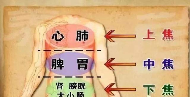 想要保养身体?简单的三个动作就可以!