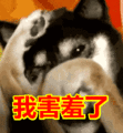 这16种美食喂饱了宁德近三百多万人!别说你没吃过