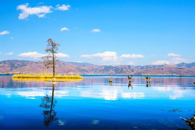 论大理旅居一年的可能性?多少姑娘动心了,你还不收拾行李