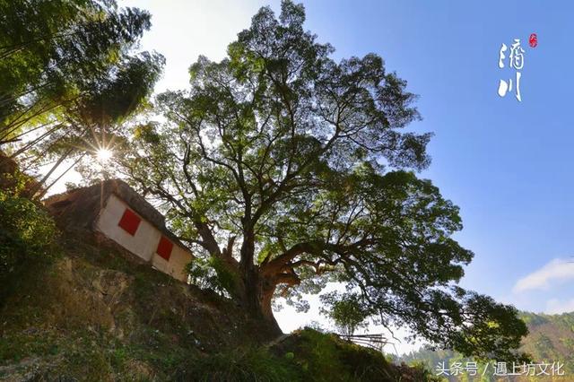 国家级历史文化名村，福建只有29个，有没有你的家乡？