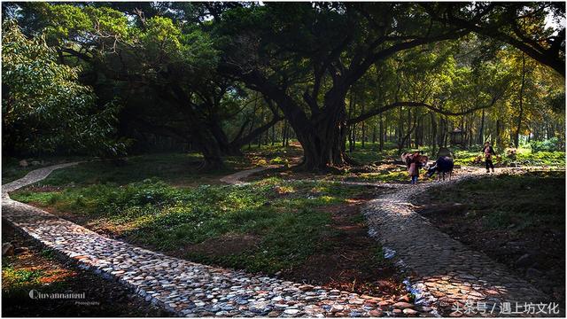 国家级历史文化名村，福建只有29个，有没有你的家乡？