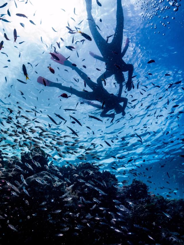 世界七大自然奇观——大堡礁，回味无与伦比的伊甸园