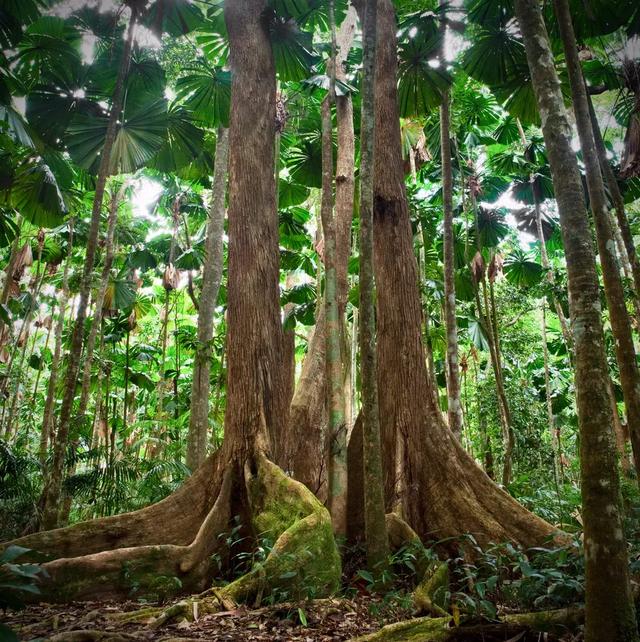 世界七大自然奇观——大堡礁,回味无与伦比的伊甸园