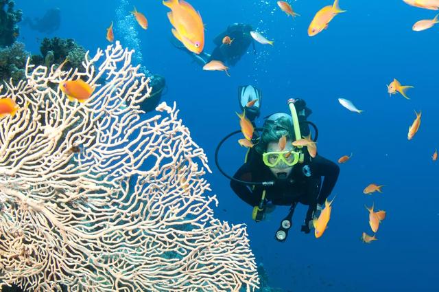 世界七大自然奇观——大堡礁，回味无与伦比的伊甸园