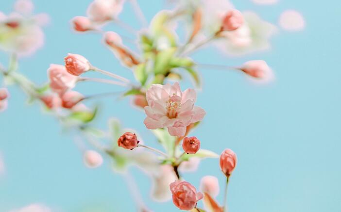 春分是什么季节 春分是哪个季节的和意义