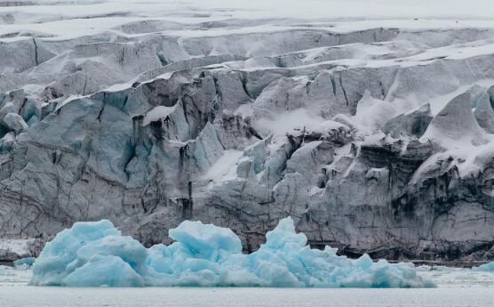 南极气温升高多少了 南极气温升高的后果是什么