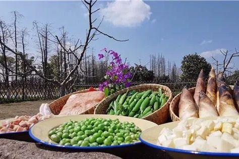 繁花赏乌村,“野火饭”尝春味,重启2020年吧!