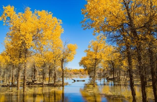 下半年适合一个人旅行的15个地方,累了就出去走一走!