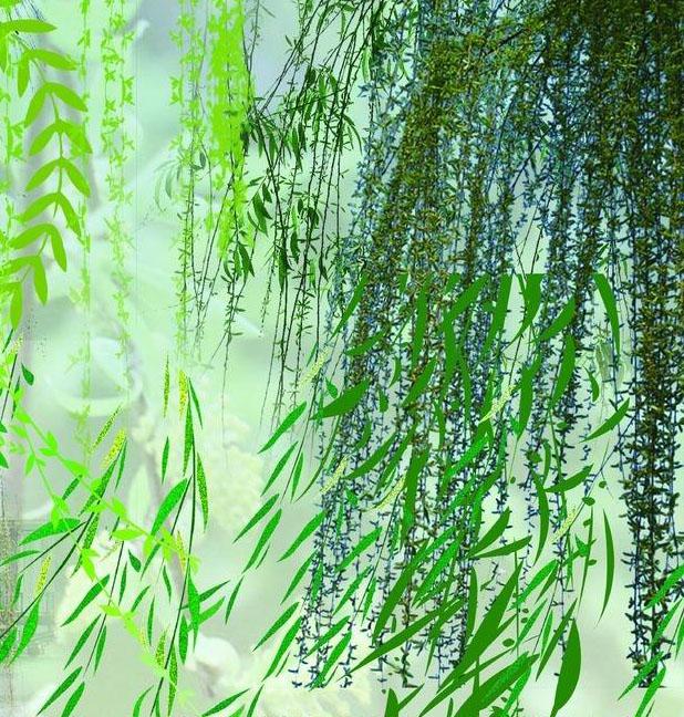 清明时节雨纷纷,你知道清明有哪些习俗吗?