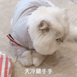 【十堰】十堰最新天气预报!看了倒吸一口凉气