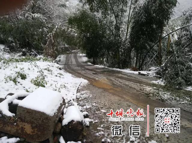【十堰】十堰最新天气预报!看了倒吸一口凉气