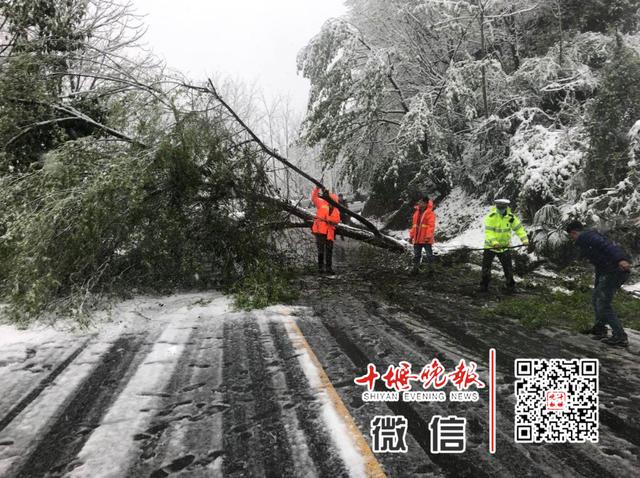 【十堰】十堰最新天气预报！看了倒吸一口凉气