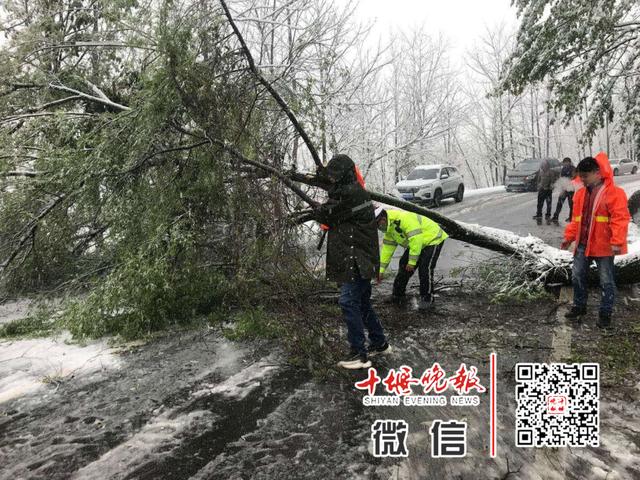 【十堰】十堰最新天气预报！看了倒吸一口凉气