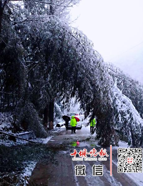 【十堰】十堰最新天气预报!看了倒吸一口凉气