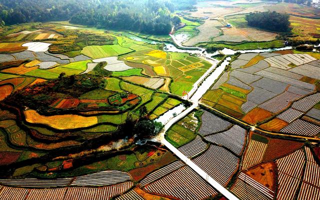 广西百色市 自南向北铺展春耕画卷