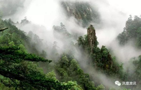 凤凰旅讯丨全国人都怒了！这样的“樱花雨”真的美吗……