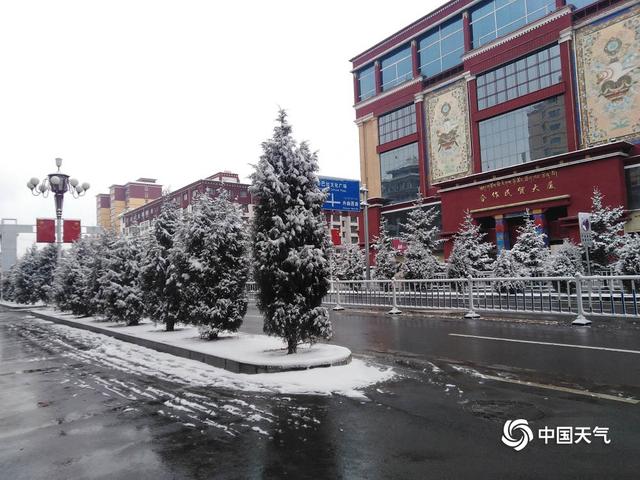 甘肃甘南高原雪纷飞 迟归春色别样美