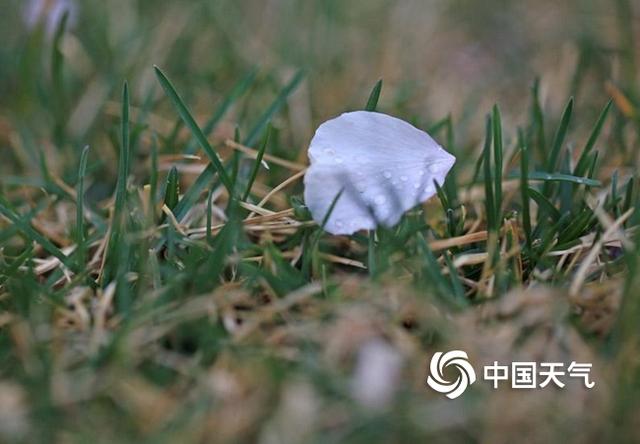 中国春雨图鉴：带你看遍全国各地“性格迥异”的春雨