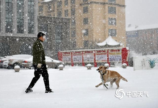 中国春雨图鉴：带你看遍全国各地“性格迥异”的春雨