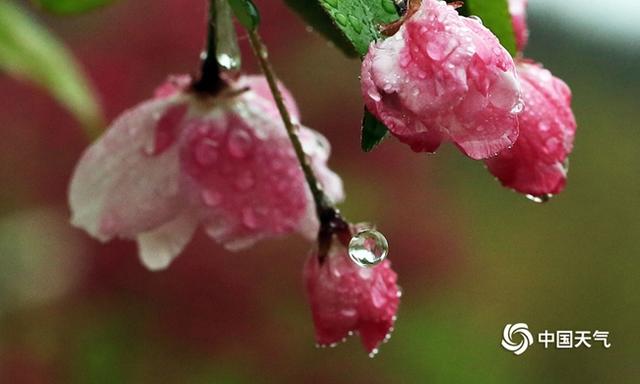 中国春雨图鉴:带你看遍全国各地“性格迥异”的春雨