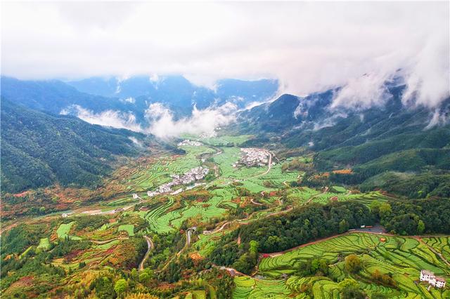 实拍中国最美乡村的春天，婺源万亩油菜花盛放，云海梯田天上人间