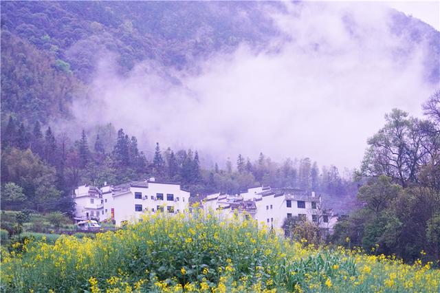 实拍中国最美乡村的春天，婺源万亩油菜花盛放，云海梯田天上人间