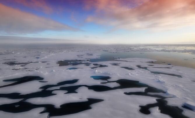 南极变暖会怎么样 南极变暖会导致什么后果