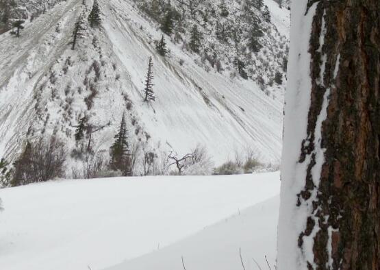 暴雪红色预警信号标准 天气预报暴雪红色预警级别划分