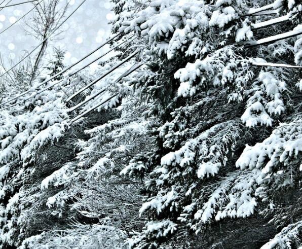 暴雪红色预警图片 暴雪红色预警发布时的雪景图