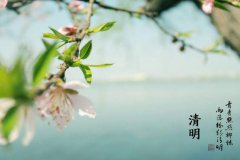 马上就是清明节了，关于