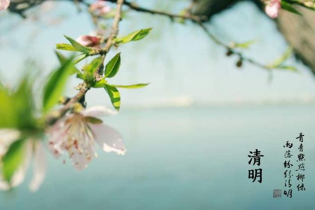 马上就是清明节了,关于清明节的由来、风俗和禁忌,你都知道吗?