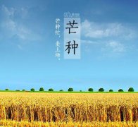 24节气专题——芒种芒种，