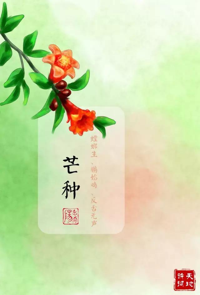 节气 | 今日芒种，这些知识你怎能不知道！