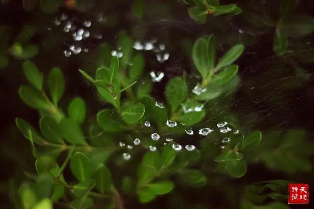 节气 | 今日芒种，这些知识你怎能不知道！