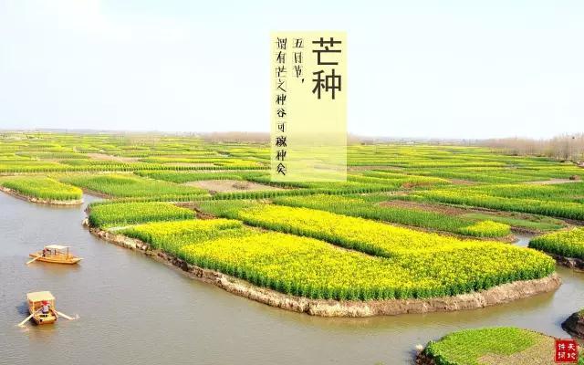 节气 | 今日芒种，这些知识你怎能不知道！