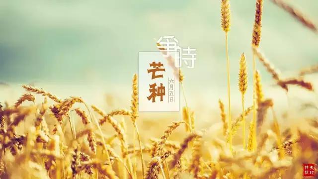 节气 | 今日芒种，这些知识你怎能不知道！