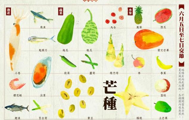 节气小知识之芒种