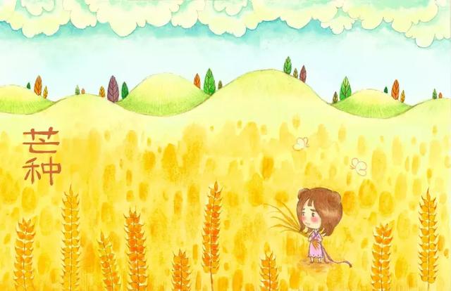 芒种养生:顺时令,应气候