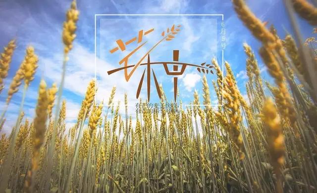 芒种养生:顺时令,应气候