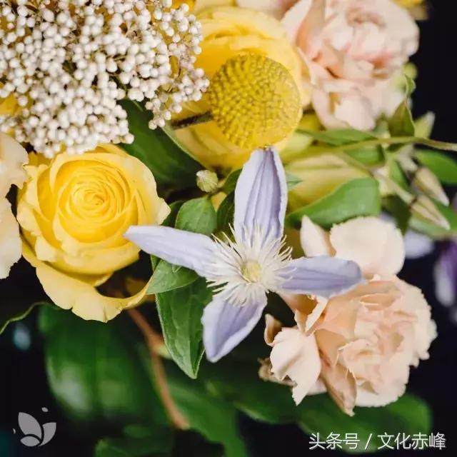 芒种时节,这些养生知识你一定要知道!