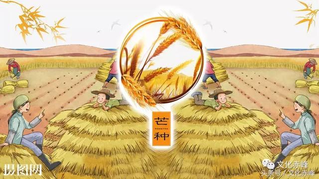 芒种时节,这些养生知识你一定要知道!