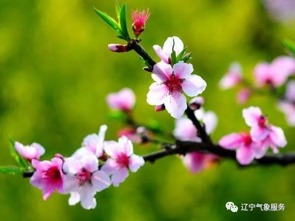 快讯!辽宁省气象台发布今(31日)起未来三天天气预报