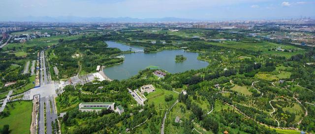 这里是北京最大的湿地公园,常年免票,春天去最美