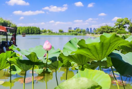 我国最能吃甜食的城市,每道菜都要放糖,北方游客纷纷受不了
