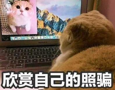 现实中的稻城和网上的稻城差别太大?难道我去了一个假稻城?