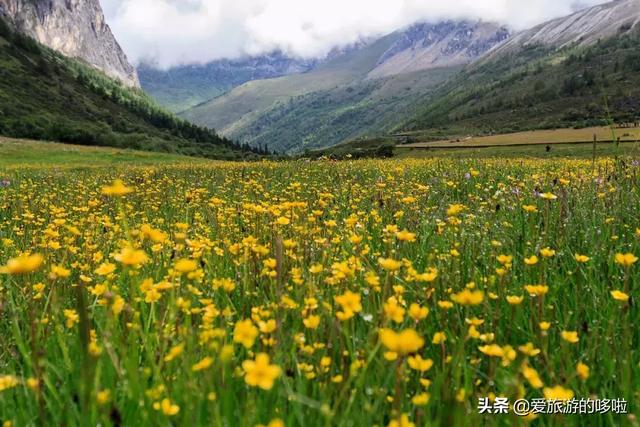 稻城，一生一定要去一次