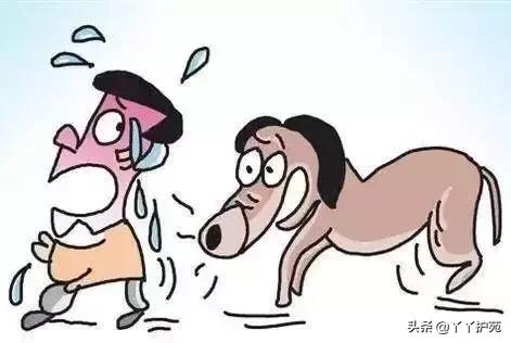 健康生活,幸福成长!青少年健康核心信息你知道几个?