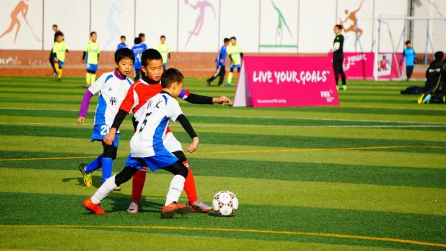 青少年健康的5大法宝