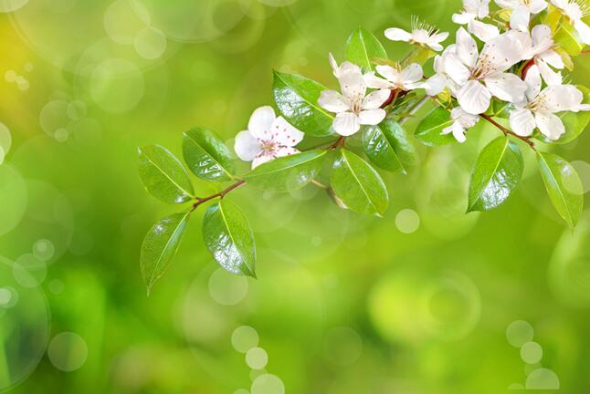 雨水之后的节气是什么 关于雨水的下一个节气介绍